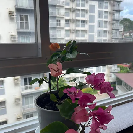 Suite 629 Near It Park